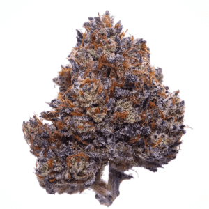Buy Purple Haze Weed Online in Dubai